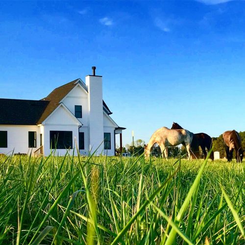 horses grazing in front of a house